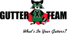 Gutter X Team
