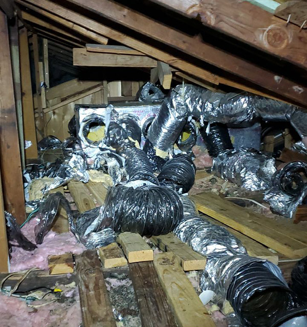 Wildlife X Team will restore your attic- even if it looks like this